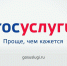 На «Госуслугах» заработали новые сервисы по частичной мобилизации - Народное слово