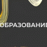 Липчане смогут получить очное топ-образование МВА от ведущей российской бизнес-школы РАНХиГС - Народное слово