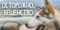 Осторожно, бешенство! - Народное слово