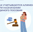 С 1 марта изменились правила учета алиментов при назначении единого пособия Отделением СФР по Липецкой области - Народное слово