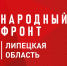 Народный фронт совместно с подопечными с ОВЗ «Школы Мастеров» изготовили более 40 куличей для бойцов - Народное слово