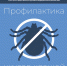 Как не подцепить клеща на прогулке - Народное слово